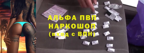 амф Коряжма