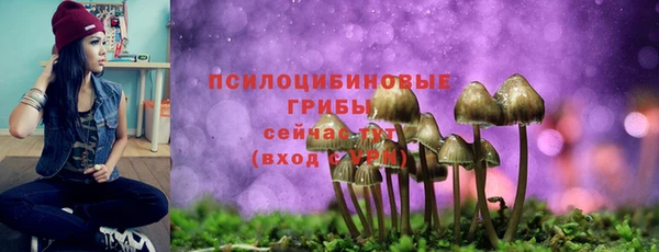 a pvp Кодинск
